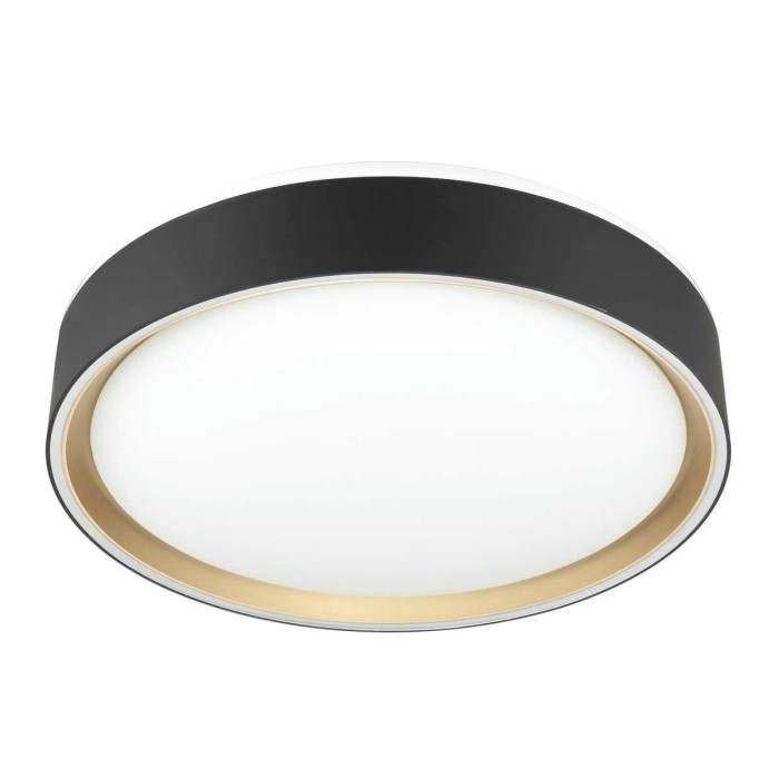 Потолочный светодиодный светильник Citilux Boss CL751251G