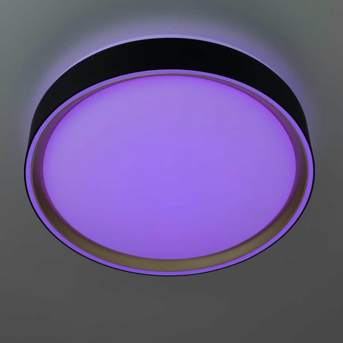 Потолочный светодиодный светильник Citilux Boss CL751251G