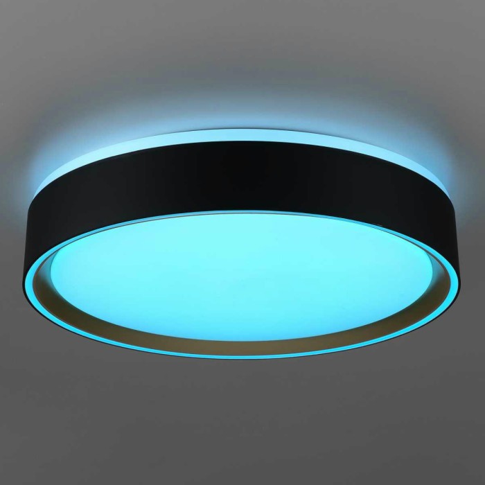 Потолочный светодиодный светильник Citilux Boss CL751251G