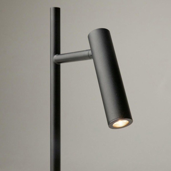 Торшер Maytoni Estudo Z010FL-L8B3K