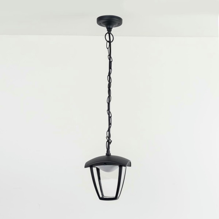 Уличный подвесной светодиодный светильник Citilux CLU04P