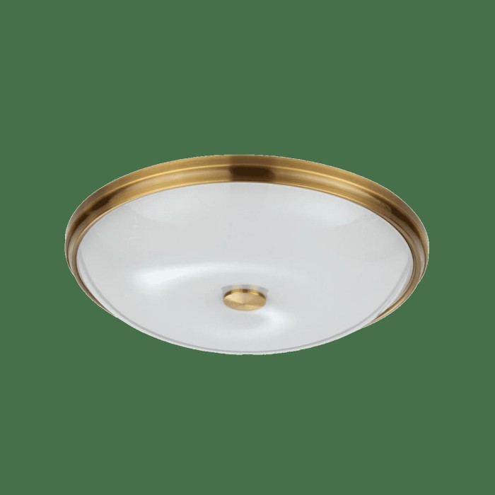 Потолочный светильник Odeon Light Walli Pelow 4956/5