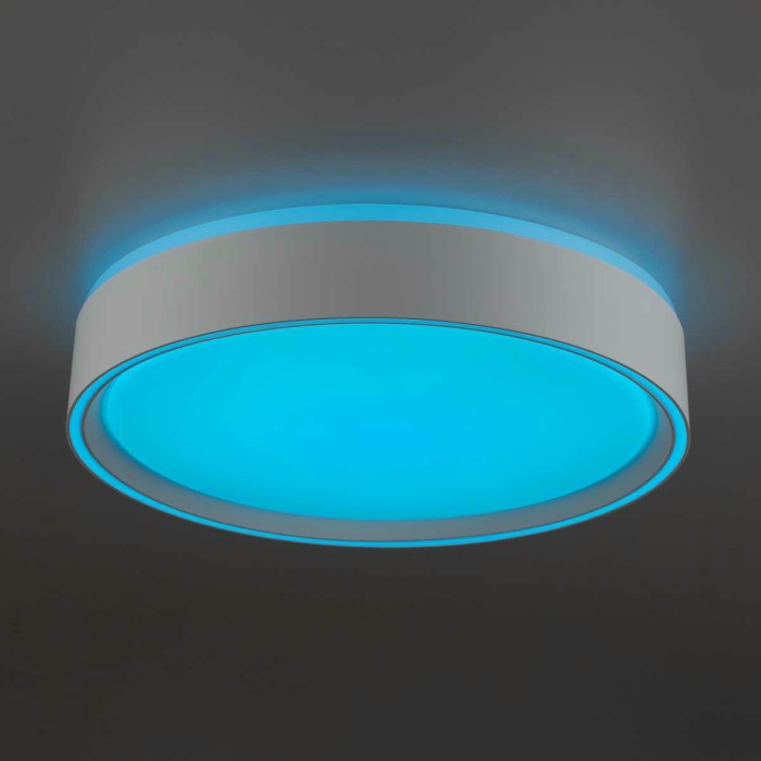 Потолочный светодиодный светильник Citilux Boss CL751250G