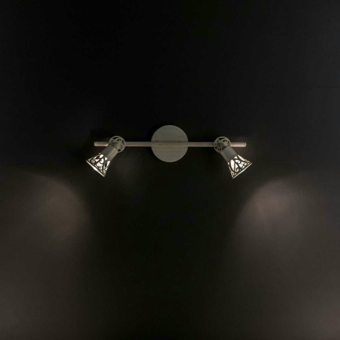 Спот Citilux Винон CL519525