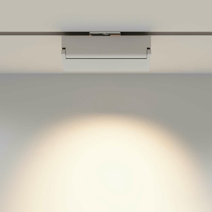 Трековый светильник Maytoni Technical TR224-1-12WCCT-M-W