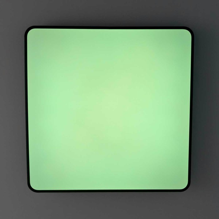 Потолочный светодиодный светильник с пультом ДУ Citilux Купер RGB Черный CL724K105G1