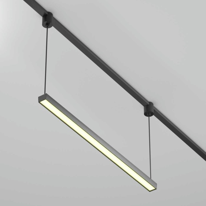 Трековый подвесной светильник Maytoni Technical TR170-1-26W3K-B