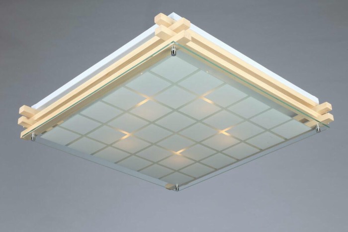 Потолочный светильник Omnilux OML-40517-05