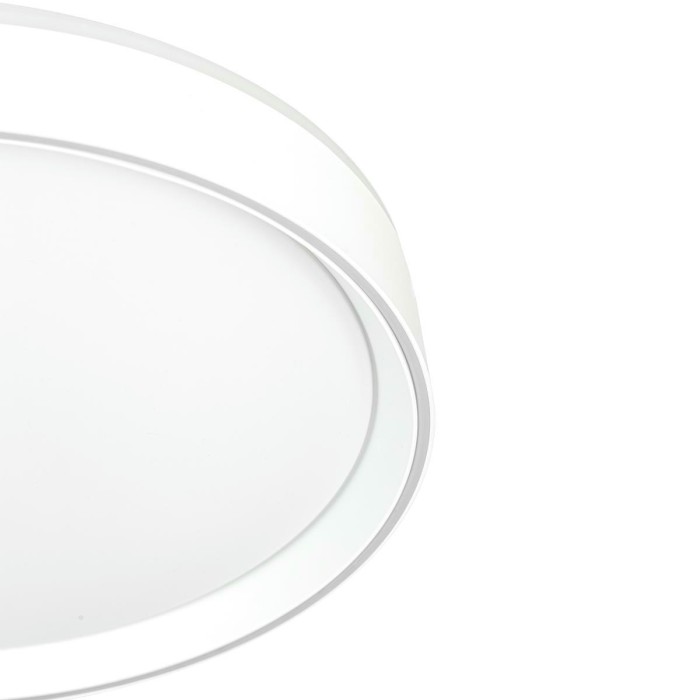 Потолочный светодиодный светильник Citilux Boss CL751350G