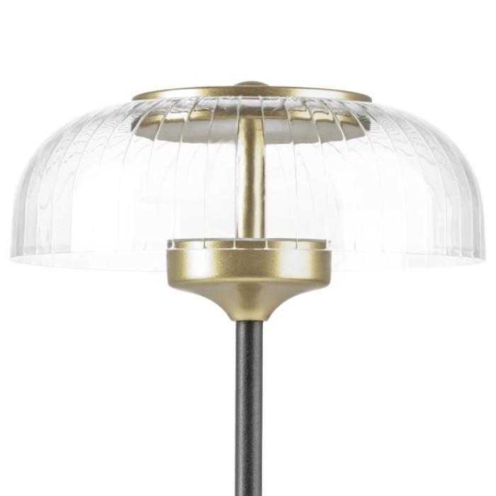 Настольная светодиодная лампа Lightstar Acrile 738973