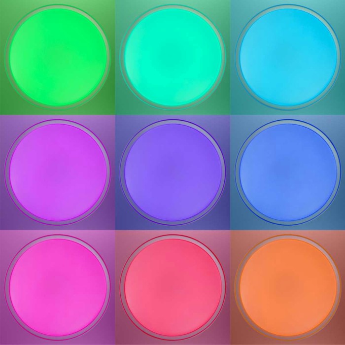 Потолочный светодиодный светильник Citilux Boss CL751450G