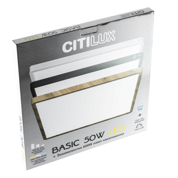 Светильник накладной Citilux Бейсик CL738K502V