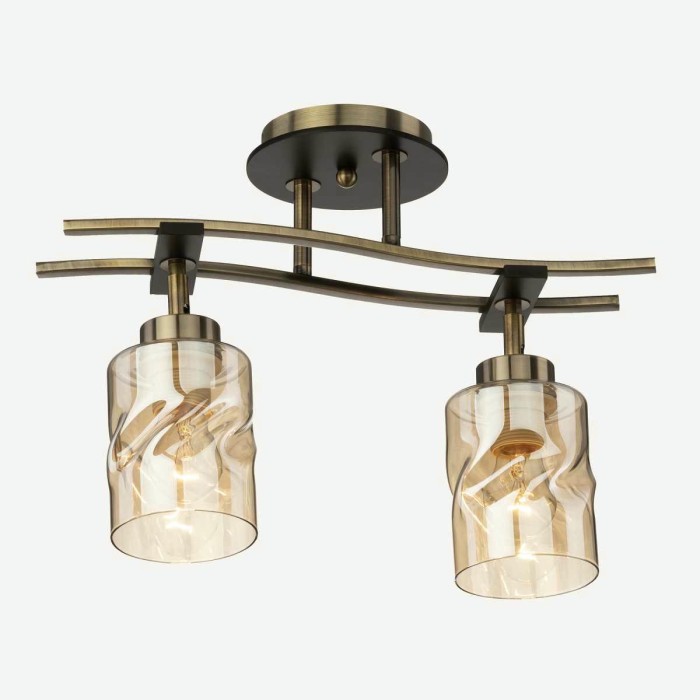 Спот Citilux Мерида CL142124