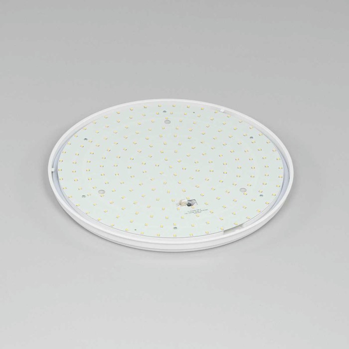 Потолочный светодиодный светильник Citilux Луна CL702301W