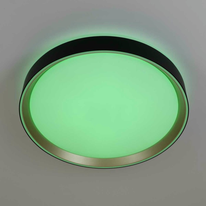 Потолочный светодиодный светильник Citilux Boss CL751351G